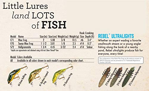 Rebel Angelköder Hellgrammite – Bild 4