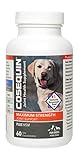 Nutramax Cosequin DS Chewables Plus MSM 60ct