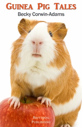 Guinea Pig Tales by Becky Corwin-Adams