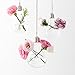 Mkono 3 Pack Hanging Terrarium Flower Plant Glass Vase Light Bulb Shape Home Weeding Decor