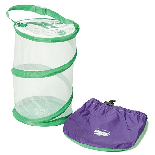 Insect Lore Bug Carrying And Catching Bag - Mesh Bug Habitat Unfolds to 8