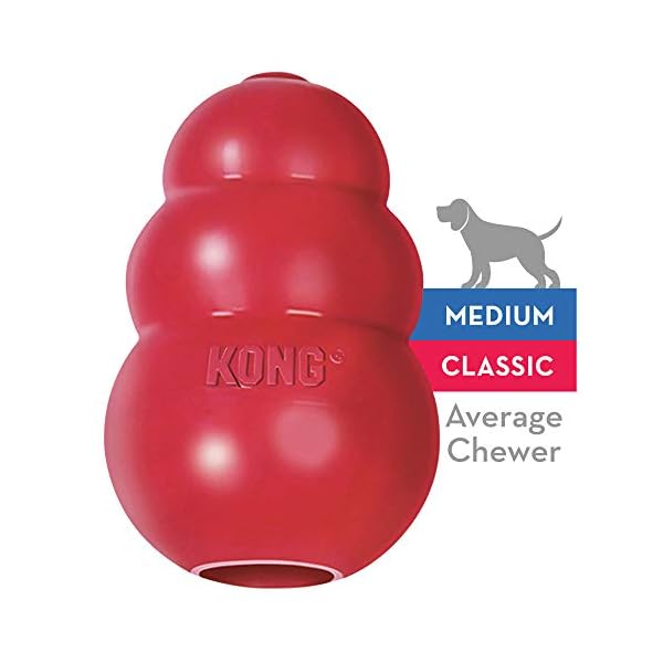 KONG Classic Dog Toy Durable Natural Rubber Fun to Chew, Chase and Fetch For Medium Dogs