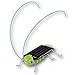 Solar Powered Grasshopper Children Learning Toy Solar Power Toy Solar Powered Grasshopper Frightened Grasshopper Kit - Solar Powered - Educational Toy