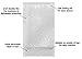 Amiff Shipping Bubble Bag, 4 x 7.5 Inches. 25 Pack Clear Bags for Packaging. Self Seal Bubble Pouches for Packing. Waterproof Polyethylene Storage Moving Bags. Packing Materials for Fragile Items