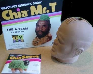 Amazon Com Chia Mr T Garden Outdoor