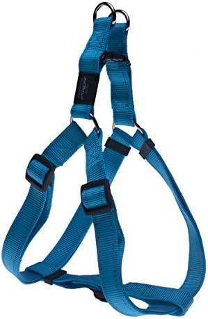 Reflective Adjustable Dog Step in Harness for Large Dogs; matching collar and leash available, Turquoise