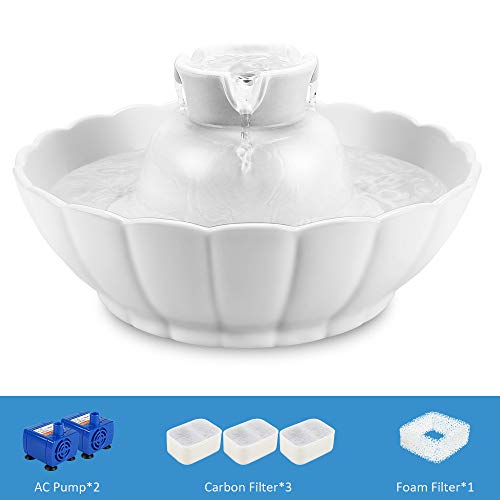 ipettie water fountain