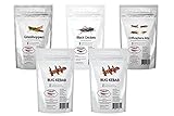 Edible Insects Sampler 5 Pack