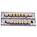 Angzhili Acrylic False Teeth for Halloween - Horror Denture Teeth Sets, Shade A3, Upper And Lower Sets (168pcs)