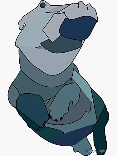 Fiona The Hippo Sticker - Sticker Graphic -Stickers for Hydroflask Water Bottles Laptop Computer Skateboard, Waterproof Decal Stickers at Amazon