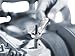 Wera - 5073281001 4013288167361 Ratcheting Combination Wrench Joker 3