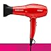 IZUTECH TORO3600 AC Motor 1875W Professional Dryer with 2 Speed and 3 Heat Setting Cold Shot Button Longest 12 Ft Cord Made in Korea