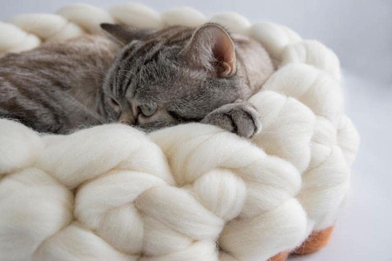 Kondoos Natural Wool roving, 8 OZ. Best for Needle Felting, handcrafts and Spinning. Natural Colours, un-Dyed. (White Ecru, 8 oz)
