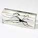 REALBUG Golden Orb-Web Spider Paperweight (1 5/8 x 4 3/8 x 1 1/8