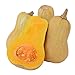 David's Garden Seeds Squash Winter Waltham Butternut WR6711 (Tan) 50 Non-GMO, Heirloom Seeds