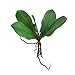 1 Branch Faux Butterfly Orchid Leaf Simulation Grass Home Decoration Green