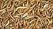 3000 Live Mealworms, Reptile, Birds, Chickens, Fish Food (Large)