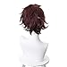 Demon Slayer Kimetsu no Yaiba Tanjiro Kamado Cosplay Wig Cosplay Costume Hair Red