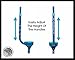 Flybar Maverick Walking Stilts for Kids Ages 5 +, Weights Up to 190 Lbs - Adjustable Foam Handles with Wide Stance Foot Pegs - Fun Outdoor Toys for Girls & Boys