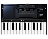 Roland K-25M