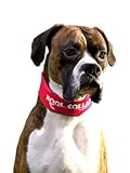 Kool Collar Stop Sign Red (Medium)