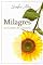 Livro Milagres no campo de girassóis