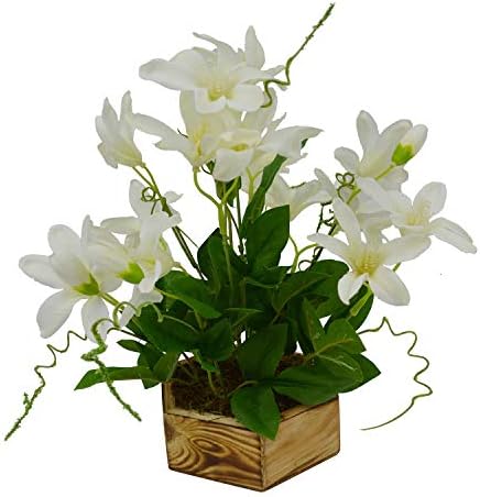 Fancy Mart Artificial Lilly Buds Flower Plant in Wood Hexagon Pot (30 cm, White)