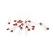 Docooler (1pf-100nf) 1000pcs 50value 50V Ceramic Capacitor Assorted kit Assortment Set