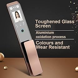 Smart 3D Face Recognition Door Lock Built in