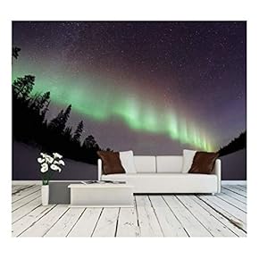 Aurora in The Night - Removable Wall Mural | Self-Adhesive Large Wallpaper - 66x96 inches