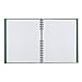 Blueline EcoLogix 100% Recycled NotePro Notebook, Green, 11 x 8.5 inches, 200 Pages (A10200E.GRN)
