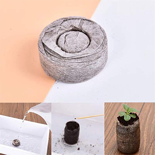Tee Vee 35mm Garden Soil Peat Pellets for Seeds Germination Seeds Starting Direct Plant Seed Starters (50, 35mm)