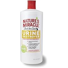 strong urine smell in carpet