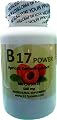 Apricot Kernel Extract, 500mg, 100 Capsules