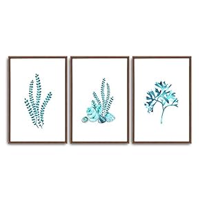 3 Piece Framed Canvas Wall Art Simple Seabed Elements Canvas Prints Home Artwork Decoration for Living Room,Bedroom - 16"x24"x3 Panels