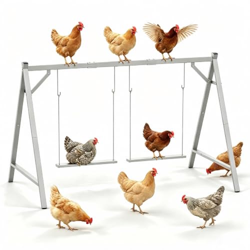NOMISPADVIC Chicken Perch Swing