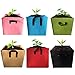 ZAILHWK 3-Pack 4 Gallon Grow Bag,Square Plant Bag Heavy Duty Thickened Nonwoven Plant Fabric Pots with Handlesthumb 3