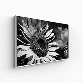 Canvas Wall Art for Living Room, Bedroom Monochrome Plants Framed Canvas Prints for Home Decoration Ready to Hang - 16x24 inches