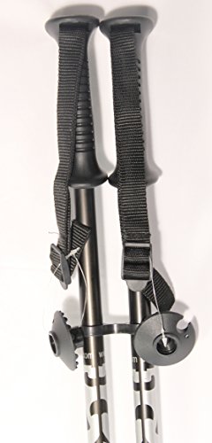 WSD Telescopic Adjustable Collapsible Adult Alpine Ski Poles Pair with Baskets, Black/Silver