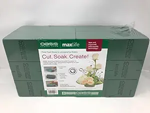 Oasis Pack of 8 Standard Floral Foam Bricks. New and Improved with MaxLife Technology for Longer Fresh Flower Life.