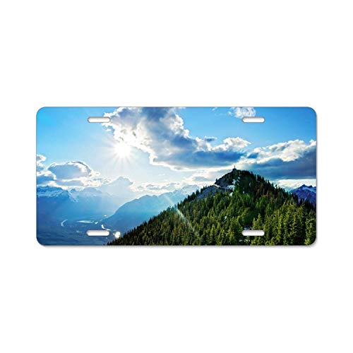 Custom License Plate Frame Cute License Plate Frame Customized AluminumL Metal License Plate Frame