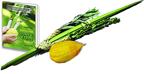 Lulav & Etrog Set - Complete Kosher Arba Minim for Sukkat Holiday, with Comprehensive Esrog n' Lulav Guide Lulav & Etrog Set - Complete Kosher Arba Minim for Sukkat Holiday, with Comprehensive Esrog n' Lulav Guide