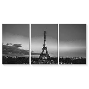 SIGNFORD 3 Piece Canvas Wall Art for Living...