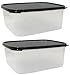 TUPPERWARE Modular Mates MM RECTANGLE II 4.3L (2) BLACK Rectangular