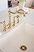 Kingston Brass BS3002 Made to Match Garbage Disposal Flange, 4-1/2-Inch, Polished Brass