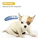 Dog Thermometer Pet Clinic Thermometer for Cat Dog Rabbit and All Pets Measure in 1s, C/F Switchable