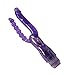 LUOGE VicQueen Crystal G-spot Butt Plug Double Pleasure Vibrator Anal Massage Dual Penetrator Vibe (purple)