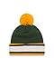 NFL Green Bay Packers Team Relation Knit Beanie, One Size, Green