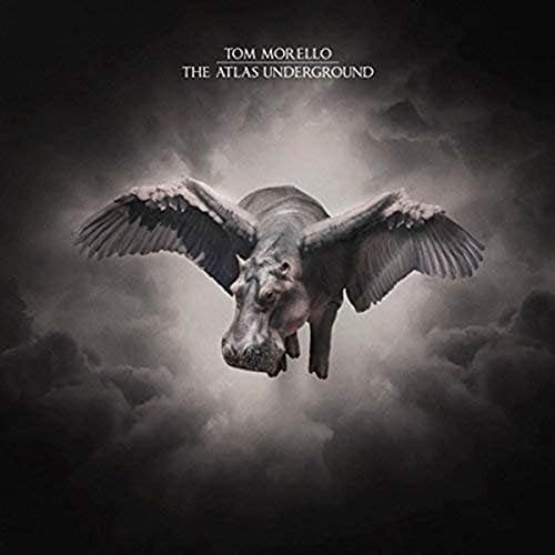 DJ Shadow - The Mountain Will Fall - Amazon.com Music