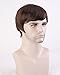 Cool2day Fashion Men's Short Layered Wig (Model: Jf010471) (Dark Brown)